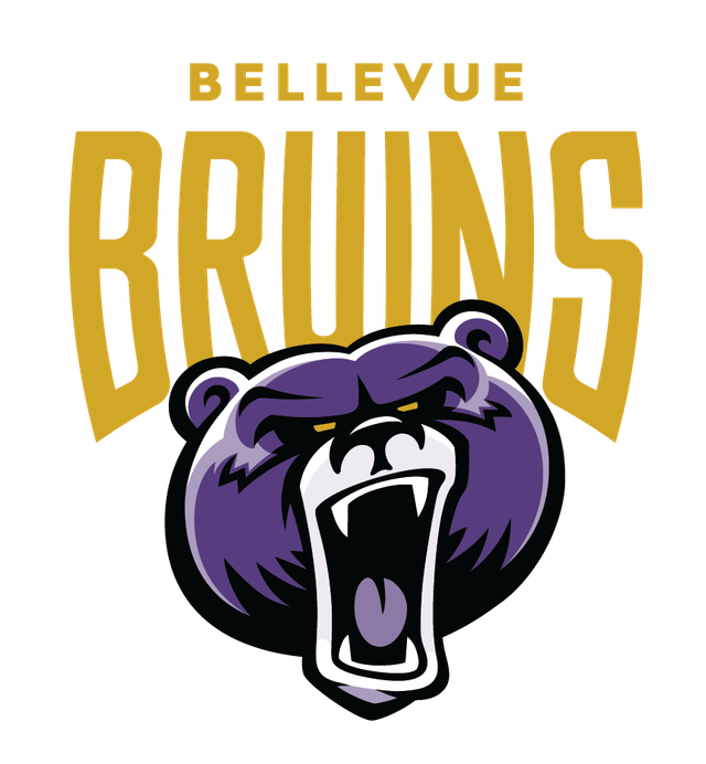 bruins logo